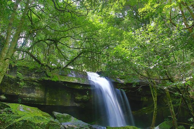 Phú Quốc National Park